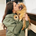 Custom Pet Portrait Embroidered Sweatshirt, Hoodie, Custom Pet Picture - Image 7
