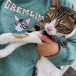 Custom Embroidered Varsity Cat Face Sweatshirt from Photo - Image 8